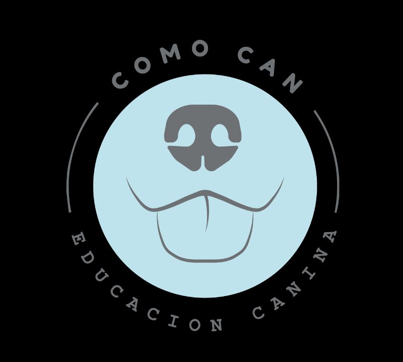 Imagen de Como Can