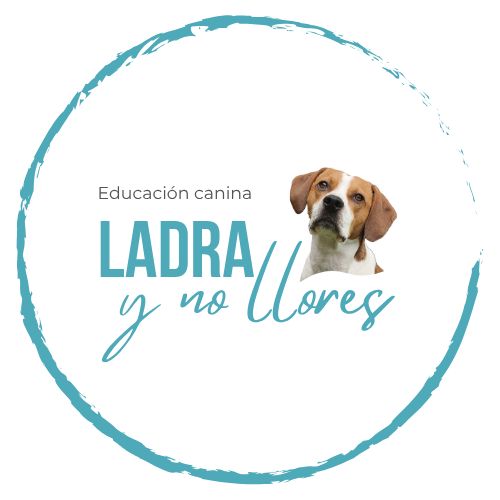 Imagen de Ladra y no llores 