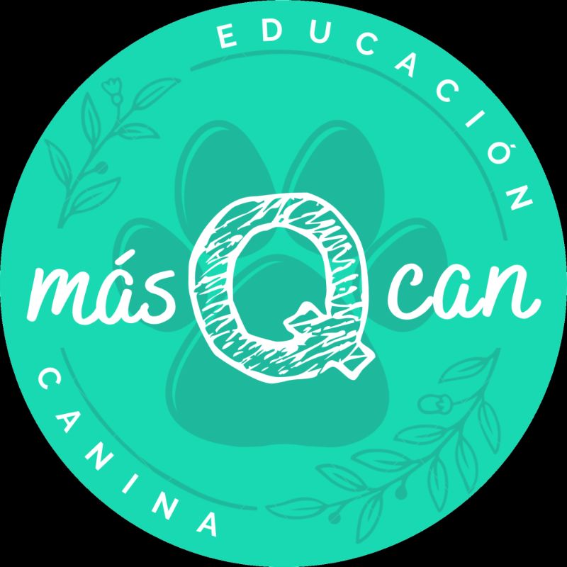 Imagen de MásQcan 