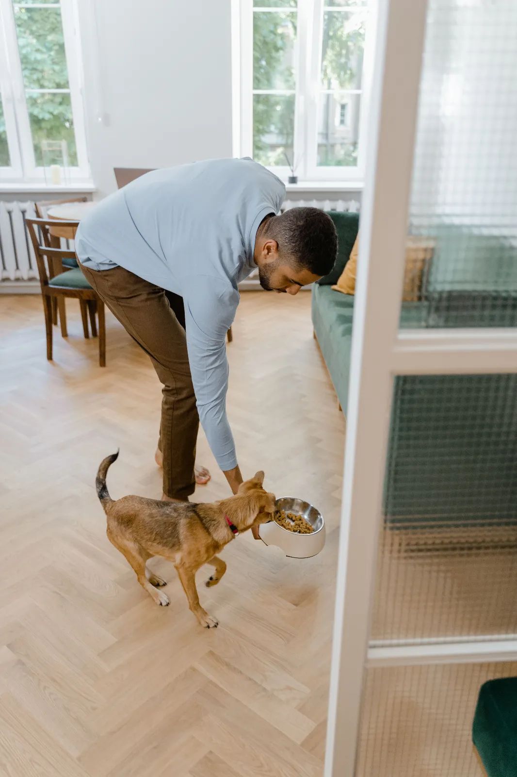 perro recién adoptado en Barcelona