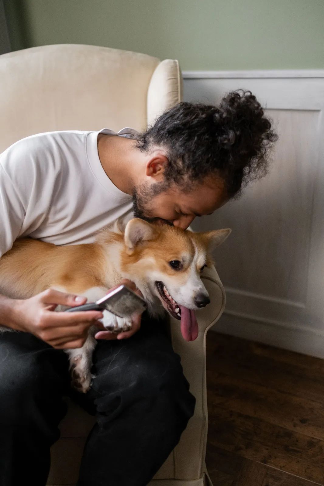 Tutor cepillando el subpelo de un perro de doble capa durante el verano para favorecer la ventilación natural del manto.