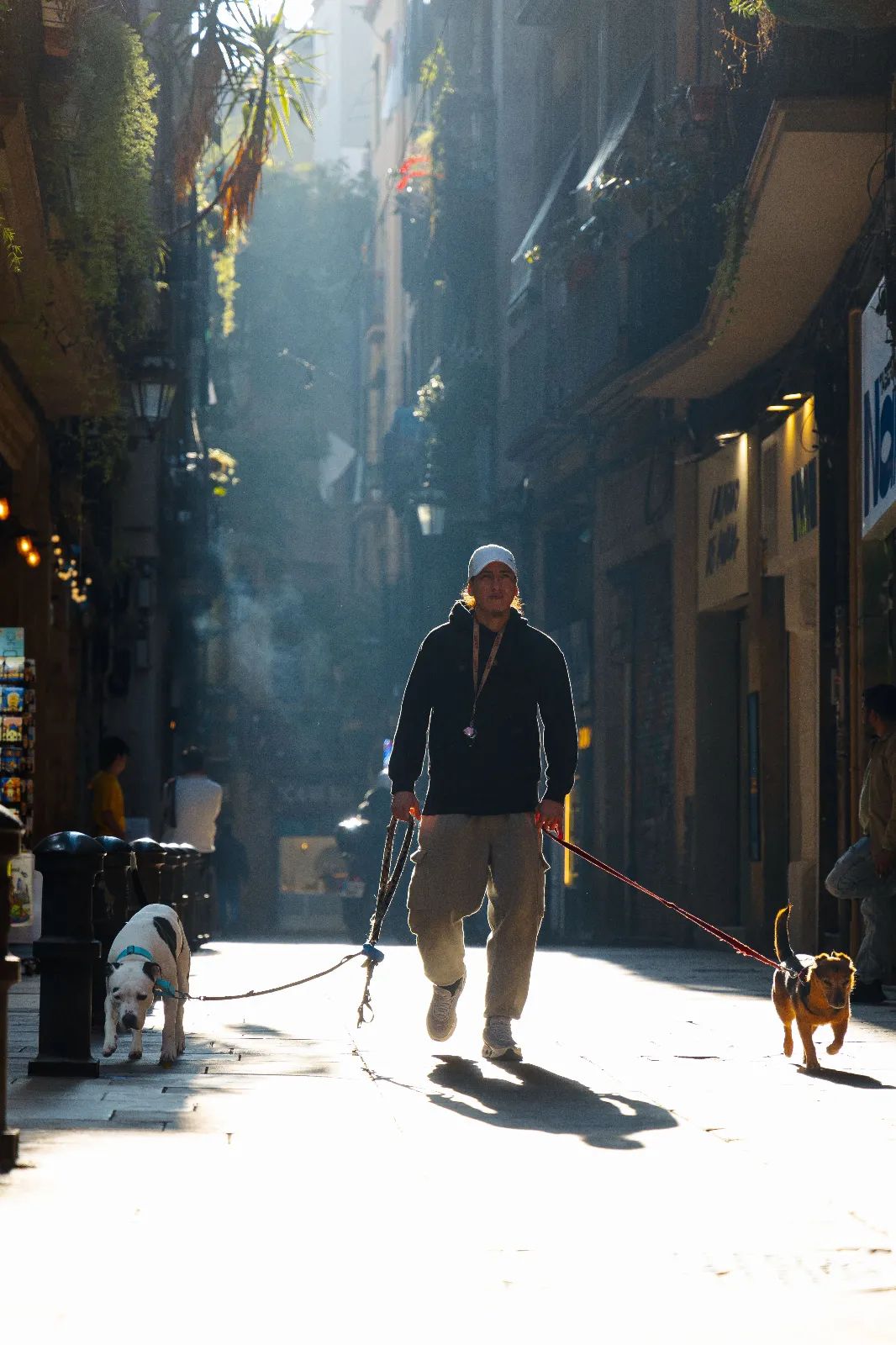 Perro paseando a primera hora de la mañana durante un día de verano para evitar el calor del asfalto.