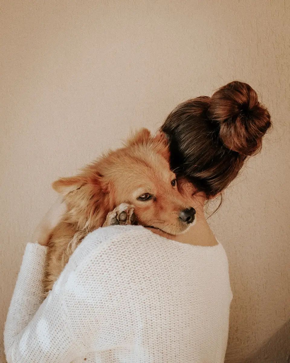 Perro junto a una persona que muestra signos de estrés en casa
